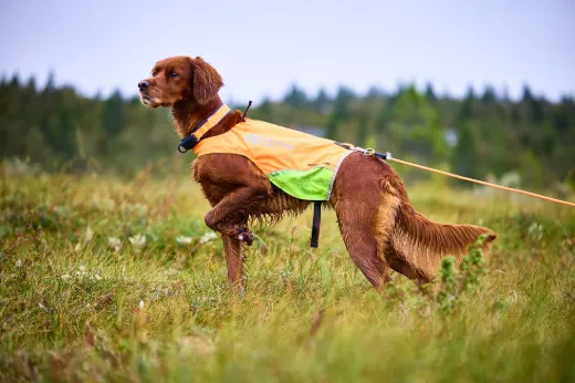 Bilde av Non-stop dogwear Protector round long line Orange